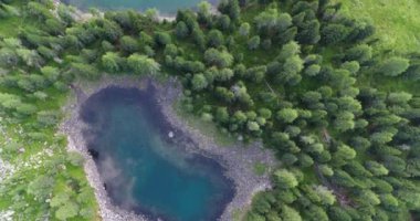 Alplerdeki Ormanlar ve Göller 'in üzerinde uçuyor. Güzel vahşi doğa hava manzarası. Göl 'ün İHA görüntüsü