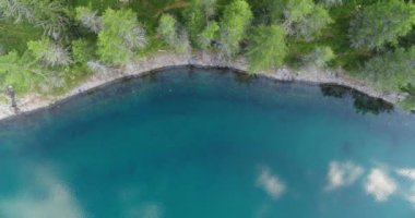 Göl manzaralı. Ormanla çevrili göl manzarası. Güzel gölün kıyısı Gökten görünüyor