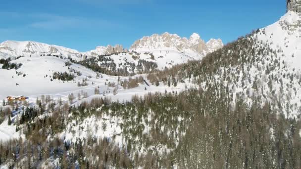 Bosque Durante Invierno Cubierto Nieve Montañas Fondo Paisaje Aéreo Alpino — Vídeo de stock