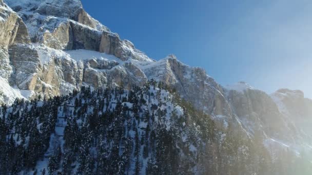 Γενόσημο Aerial Mountain Landscape Στις Άλπεις Βουνά Και Δάσος Καλυμμένα — Αρχείο Βίντεο