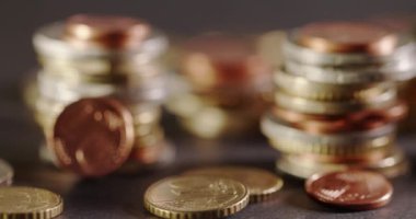 Avrupa Para Birliği 'nden 1 Euro' ya farklı sikkeler üzerinden 1 Euro 'ya dönen 1 Euro' yu gözler önüne sermek