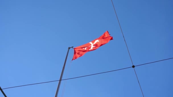 Croix Pise Sur Drapeau Flottant Sur Tour Penchée Pise Armoiries — Video