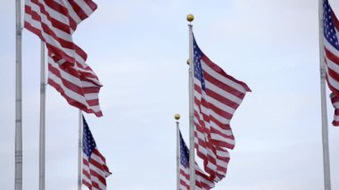 Rüzgarda yavaş çekimde dalgalanan çoklu ABD bayrakları. Amerika Birleşik Devletleri bayrağı dalgalanıyor. Slow Motion USA bayrağı