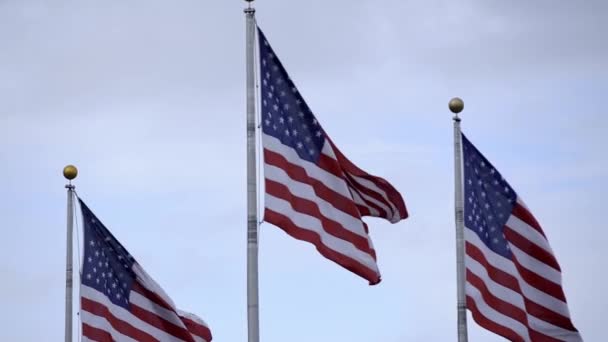 Amerikaanse Vlag Wapperend Wind Sterren Strepen Vlag New York Vrijheid — Stockvideo