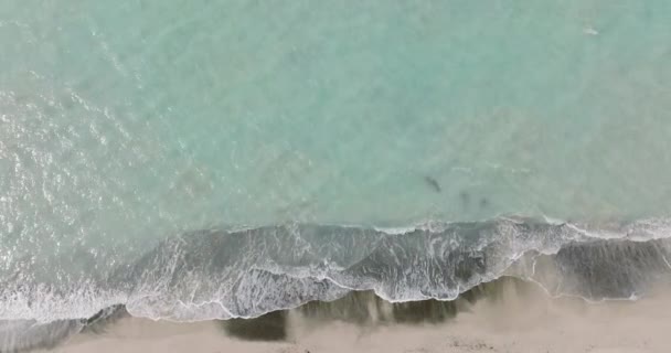 Waves Sandy Beach Aerial View Tropical Beach Top View — Stock Video