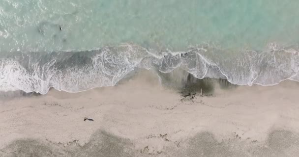 Top View Sandy Beach Aerial Seascape Beautiful Beach Waves Breaking — Stock Video