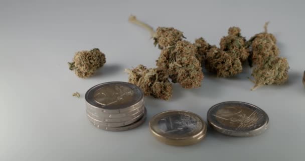 欧元硬币上的杂草芽 大麻花在欧元之上 采购药物及药物 — 图库视频影像