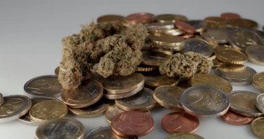 Beyaz Arkaplanda Tabletler ve Esrar Buds, izole edilmiş. CBD veya THC 'de İlaç ve Uyuşturucu Otu