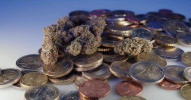 Avrupa sikkeleri üzerinde ot tomurcukları. Avrupa 'nın üstünde Kenevir Çiçeği. Uyuşturucu ve İlaç Satın Alma