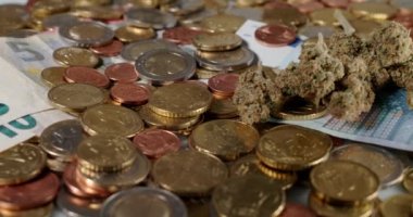 Avrupa sikkeleri üzerinde ot tomurcukları. Avrupa banknotlarının üzerinde Kenevir Çiçeği. Uyuşturucu ve İlaç Satın Alma