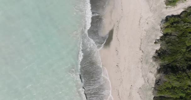 Вид Зверху Вниз Хвилі Гальмують Піщаному Тропічному Пляжі Повітряне Море — стокове відео