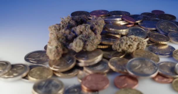 Droge Cannabisknoppen Bovenop Euro Coin Drugs Kopen Zoals Onkruid Met — Stockvideo