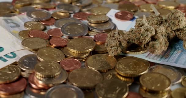 Weed Buds Euro Coins Konopný Květ Nad Eurobankovkami Nákup Léků — Stock video