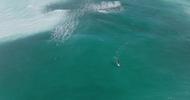 Veduta Aerea Surfer Onde Dell Oceano Viste Dall Alto Persona — Video Stock