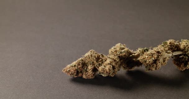 Buds Marijuana Medicinal Planta Cannabis Seca Perto Panning Movimento Sobre — Vídeo de Stock