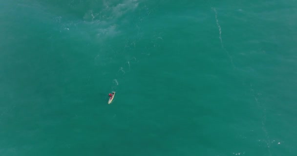 Personne Sur Planche Surf Vue Aérienne Des Hommes Pagayant Sur — Video