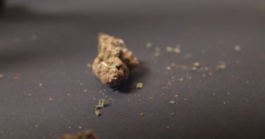 Düşen Kenevir Tomurcukları, Siyah Arkaplanda Uyuşturucu Çiçekleri. Doğal İlaç ve İlaç 'tan. CBD ve THC ile Kuru Buds