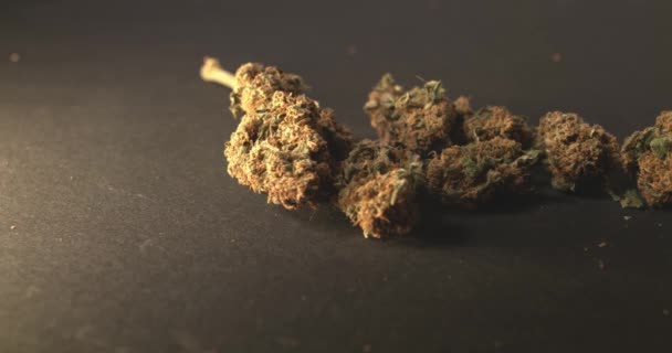 Unkraut Und Hanf Umschwenken Trockene Cannabis Knospen Auf Dunklem Hintergrund — Stockvideo