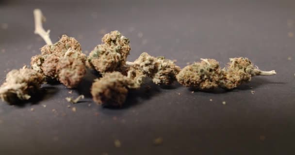 Cannabis Buds Movimento Panning Marijuana Medicinal Fundo Escuro Medicina Drogas — Vídeo de Stock