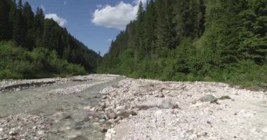 Alplerdeki küçük kuru nehir ve yeşil ormanın havadan manzarası