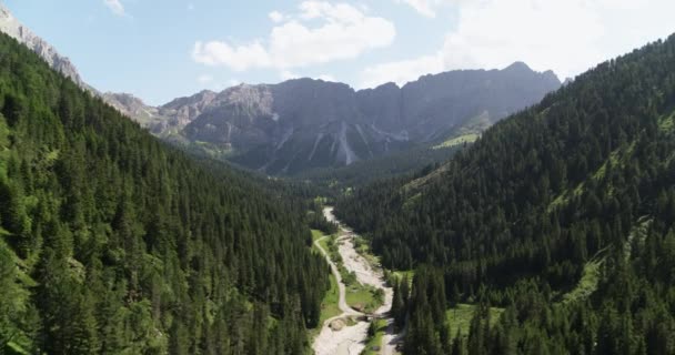 阿尔卑斯山的空中景观 背景中美丽的山脉 在阿尔卑斯山的森林上空飞行 — 图库视频影像