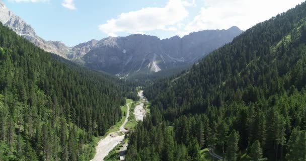 Aerial Mountain Landscape Steep Valley Covered Trees Mountains Background — Stock Video