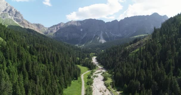 阿尔卑斯山的空中景观 背景中美丽的山脉 在阿尔卑斯山的森林上空飞行 空中山脉景观 — 图库视频影像