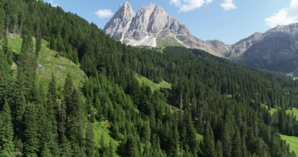 Paysage Aérien Dans Les Alpes Belles Montagnes Arrière Plan Voler — Video