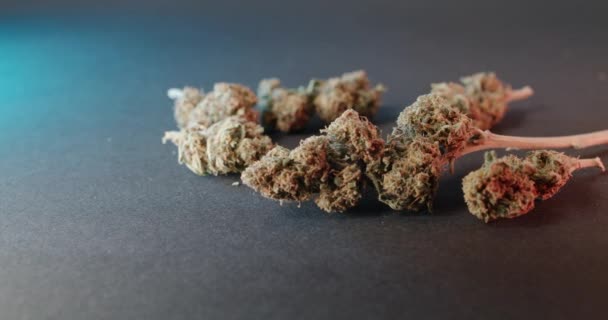 아래를 기준으로 Dry Cannabis Buds 어두운 배경에 있습니다 의약으로 Cbd — 비디오