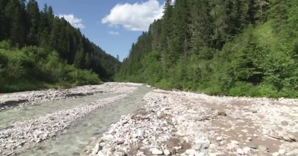 Νερό Ρέει Στο Ποτάμι Πετώντας Πάνω Από Μικρό Ποταμό Στις — Αρχείο Βίντεο