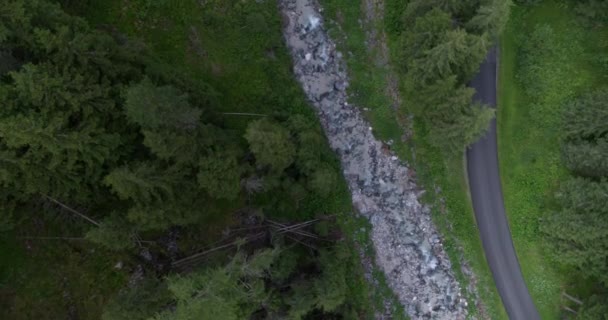 Alplerdeki Orman Nehir Yol Aşağı Manzarası Hava Manzarası Görünümü — Stok video
