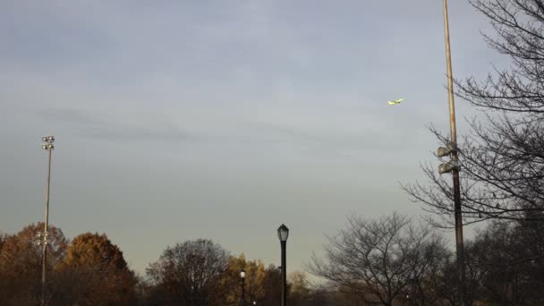 Samolot Przelatujący Nad Parkiem Nowym Jorku Widok Samolotu Zwolnionym Tempie — Wideo stockowe