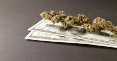 Marihuana ve nakit, ilaç ve ilaç alımı. Dolar Faturaları ve Ot