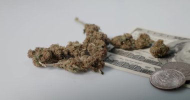 Bir dolarlık banknotlar ve kenevirli madeni paralar. Cash 'in üzerinde beyaz arka planlı ot