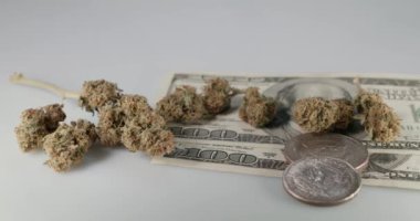 Bir dolarlık banknotlar ve kenevirli madeni paralar. Cash 'in üzerinde beyaz arka planlı ot