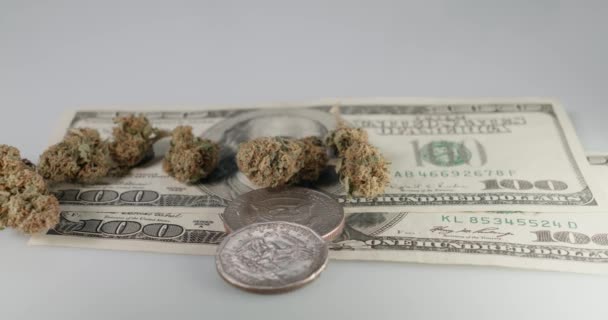 Cbd Cannabis Monetą Dolarową Banknotem 100 Dolarów Gotówka Medycyna Narkotyki — Wideo stockowe