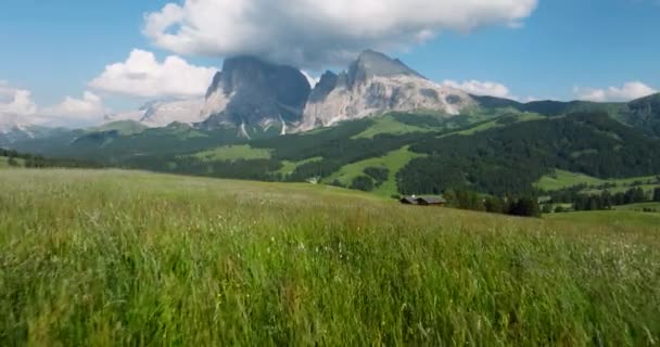 Zelené Louky Pole Seiser Alm Sassolungo Langkofel Mountain Pozadí Letecká — Stock video