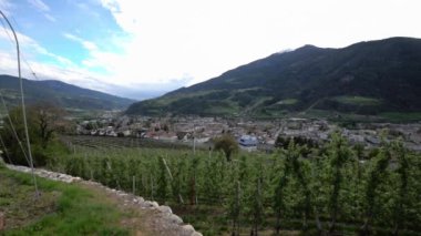 Arkaplanda Apple Trees ve Alpine City. Gelişen Elma Ağaçları