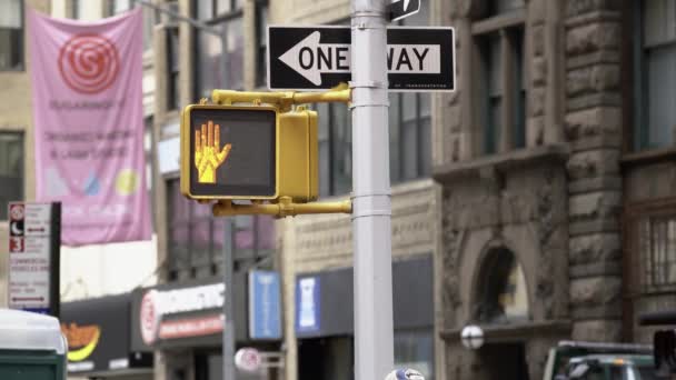 Manhattan Usa November 2021 Pedestrian Traffic Light Switching Stop Walk — Stock Video