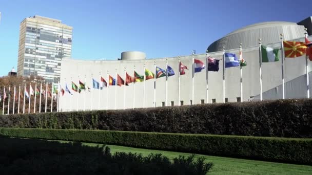 Flags United Nations Nyc Flying Wind International Community Flag Flying — 비디오