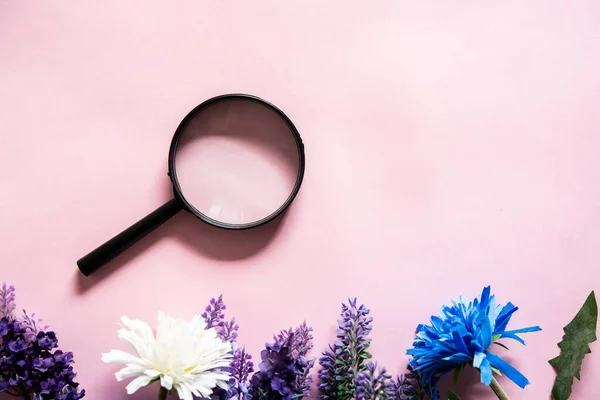 ピンクの背景に黒の虫眼鏡 色の花 検索の概念 何かを探して — ストック写真