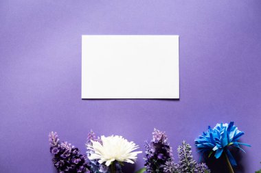 Mor arka planda beyaz bir zarf ve kır çiçekleri. Mesaj yazmak için bolca yer var..