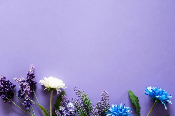メッセージを書くためのスペースがたくさんある紫色の背景の野草 — ストック写真