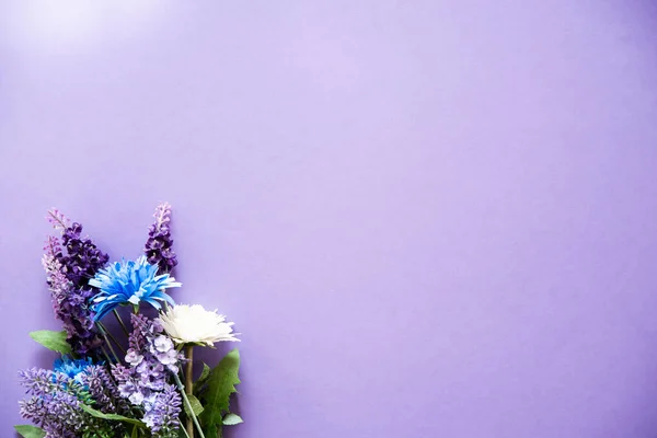 メッセージを書くためのスペースがたくさんある紫色の背景の野草 — ストック写真