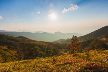Güneşin güzel ışığı ve mavi gökyüzü dağdaki doğa ormanının üstünde, dağların kırsal manzarası renkli günbatımlı tepe üzerinde ya da gökyüzünde güneşin doğuşu