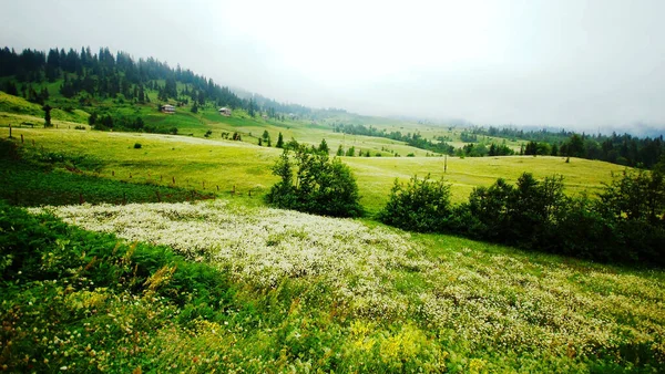 Gürcistan ve Türkiye 2017 motosiklet gezisi panoramik manzara ve kasaba manzarası 