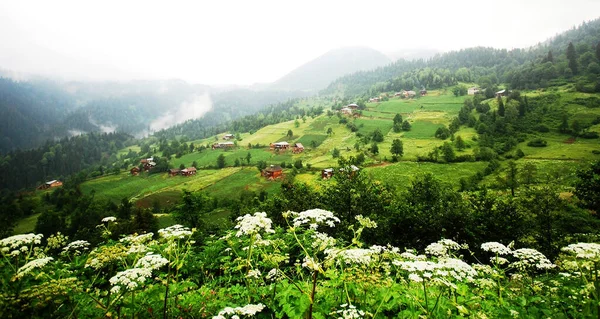 Gürcistan ve Türkiye 2017 motosiklet gezisi panoramik manzara ve kasaba manzarası 