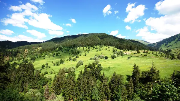 Gürcistan ve Türkiye 2017 motosiklet gezisi panoramik manzara ve kasaba manzarası 