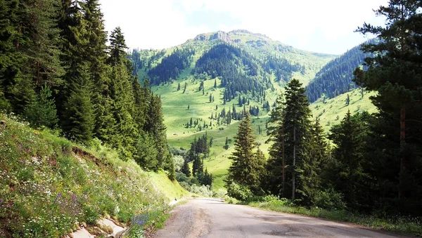 Gürcistan ve Türkiye 2017 motosiklet gezisi panoramik manzara ve kasaba manzarası 