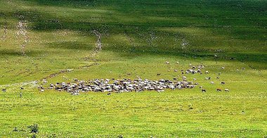 Gürcistan ve Türkiye 'de 2017 yılında panoramik manzaralarla motosiklet gezisi 